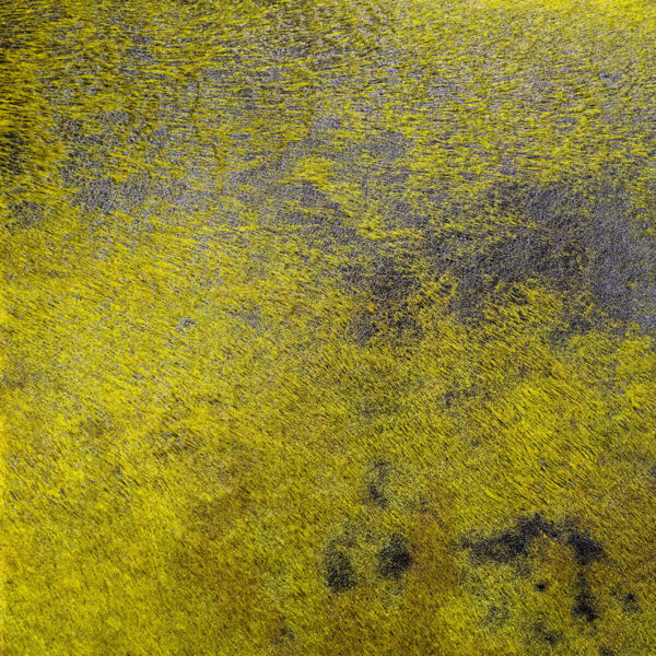 Fabric Enigme