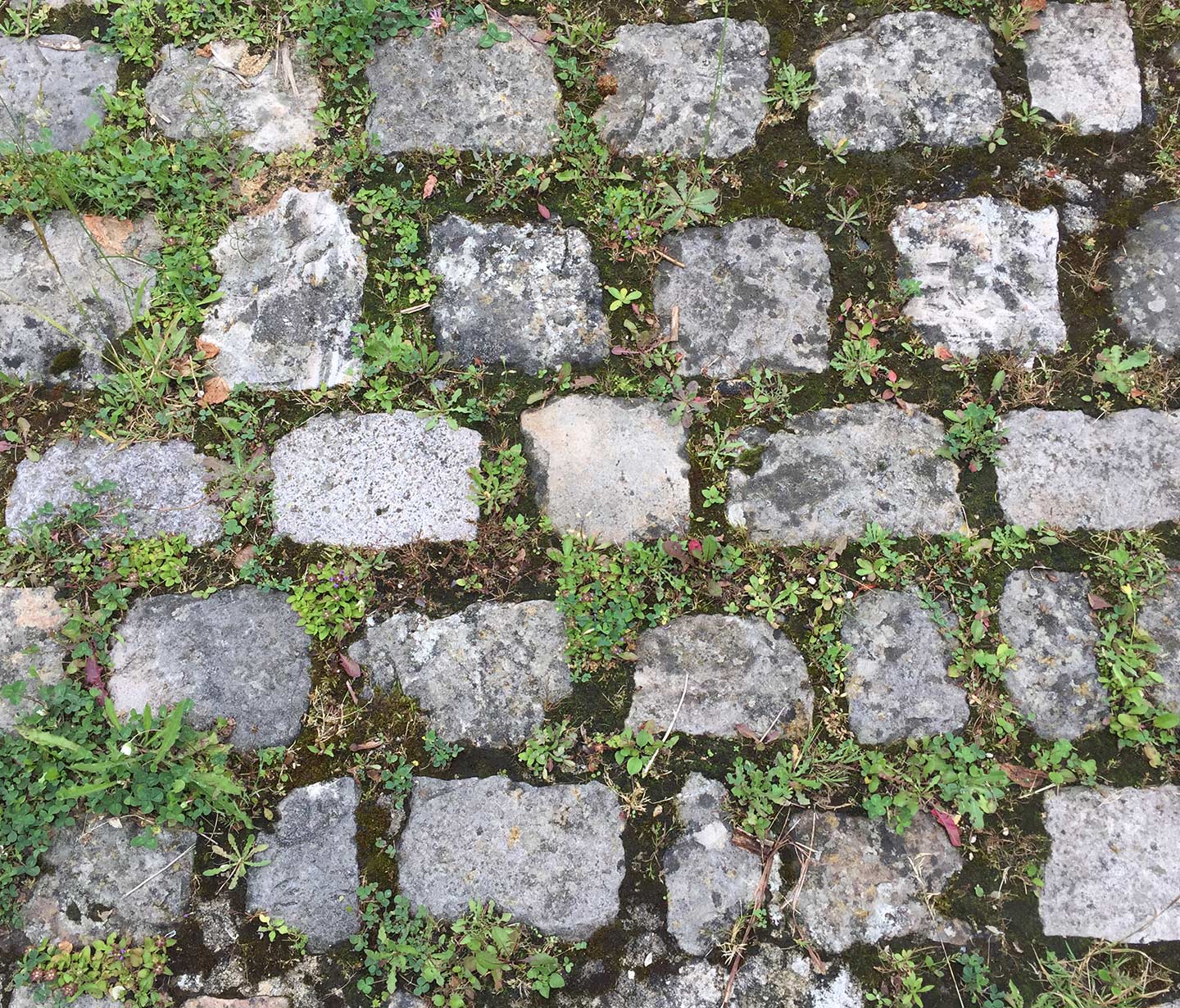 Ground