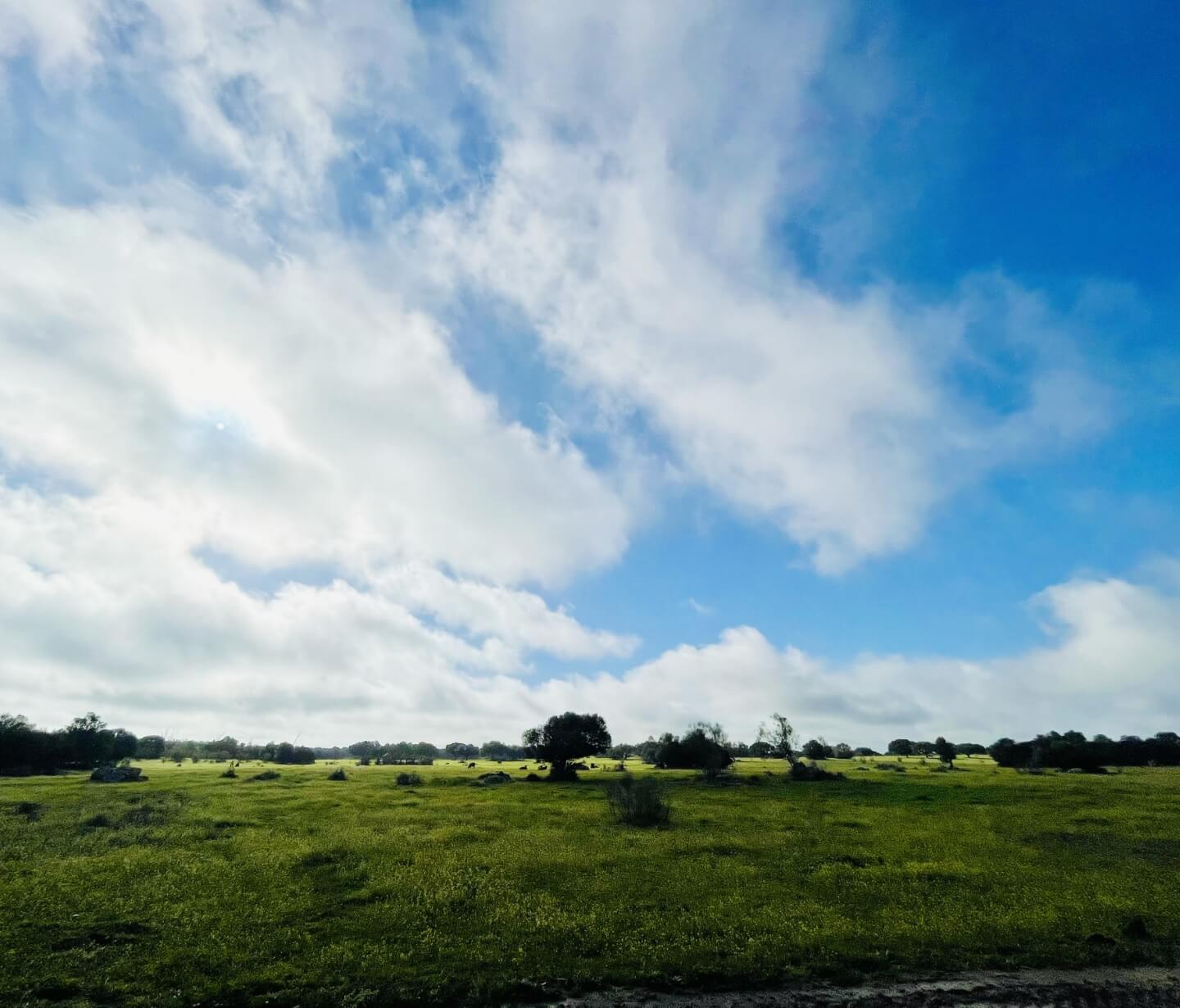 Sky and land