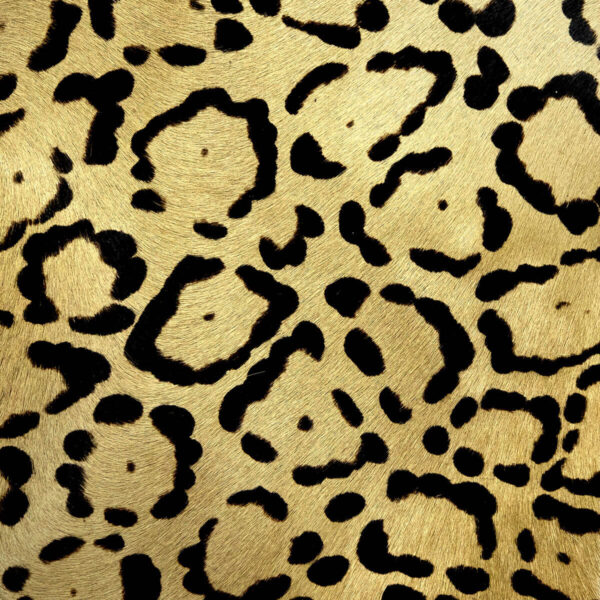 Fabric Savane