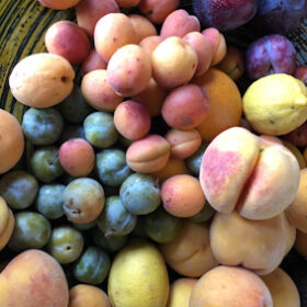Fruits